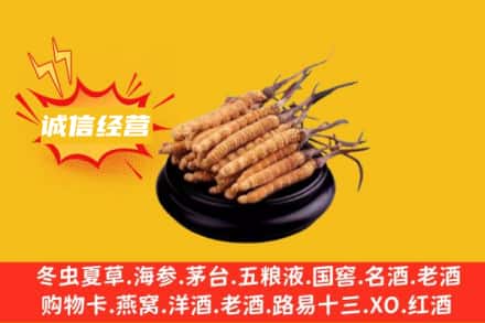 新竹市回收冬虫夏草